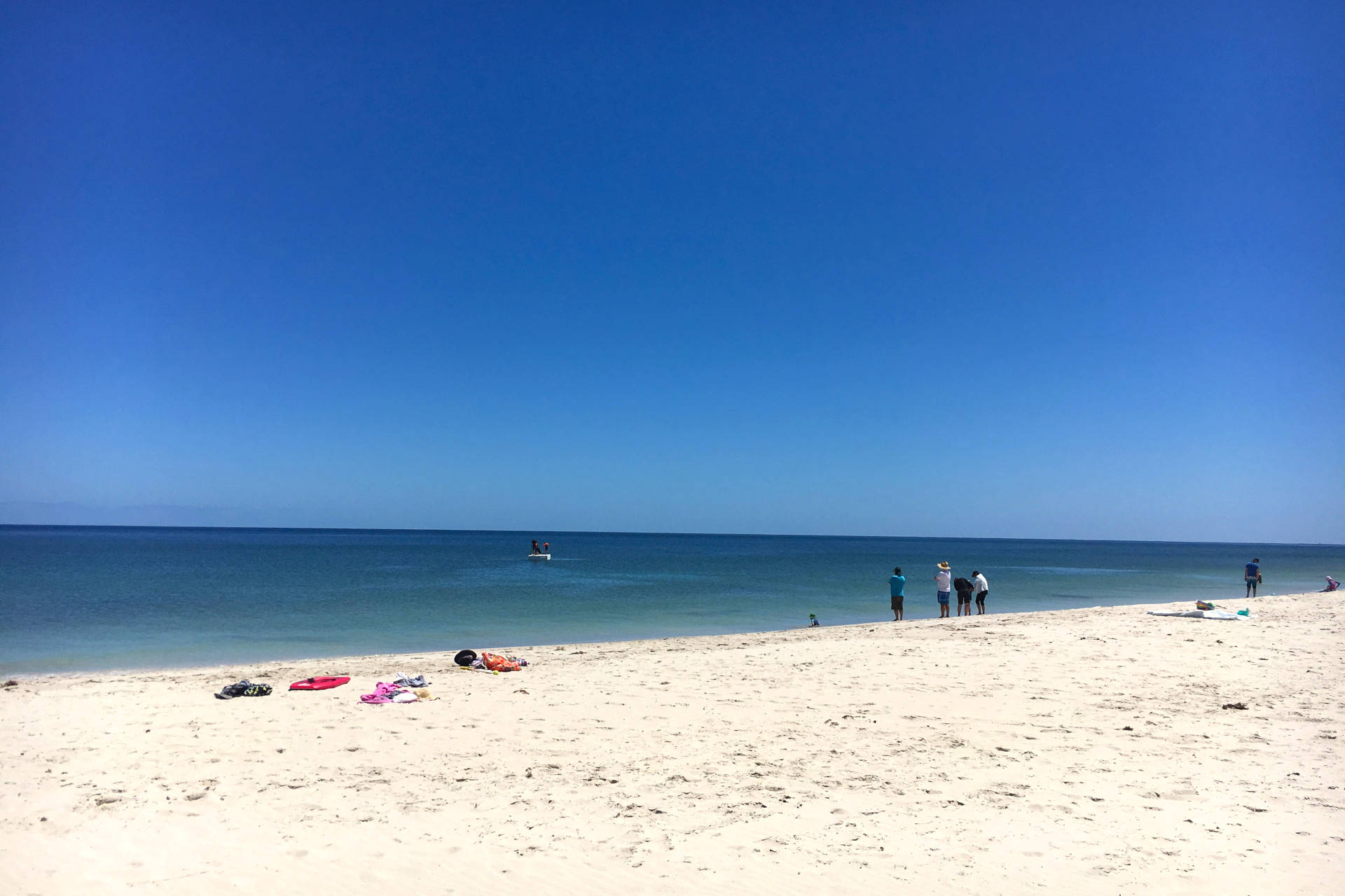 Home Peppermint Grove Beach Holiday Park